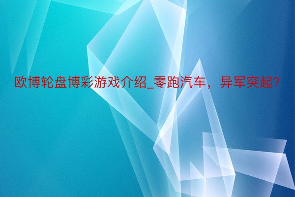 欧博轮盘博彩游戏介绍_零跑汽车,异军突起?